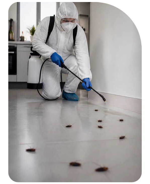 Обработка квартиры от тараканов в Серпухове по цене от 2032 р. | Сенат-Срп